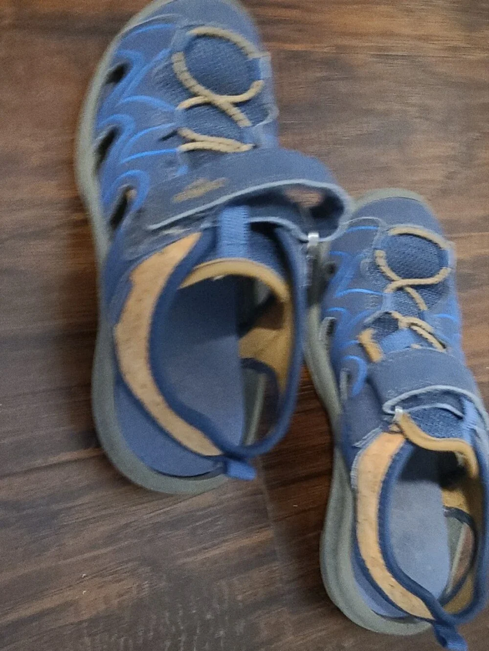 OshKosh B'gosh Blue and Tan Kids Water Shoes with Strap
